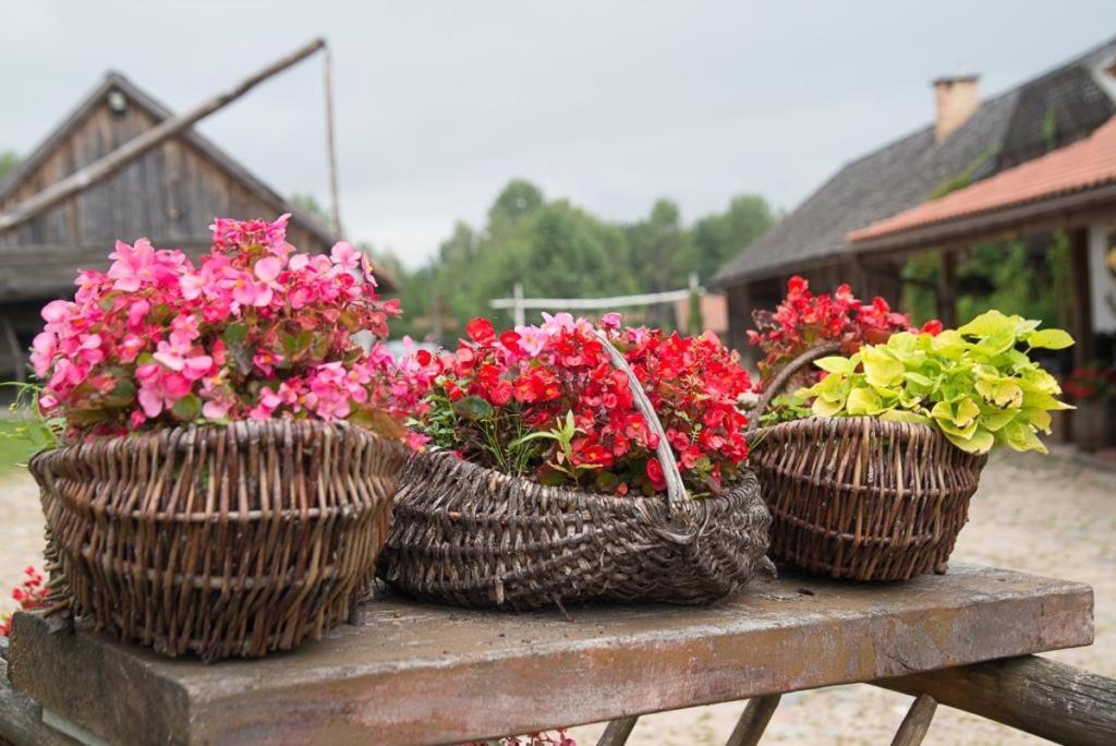 Gosciniec Folwark Nadawki Bed & Breakfast Sienkiewicze Bagian luar foto